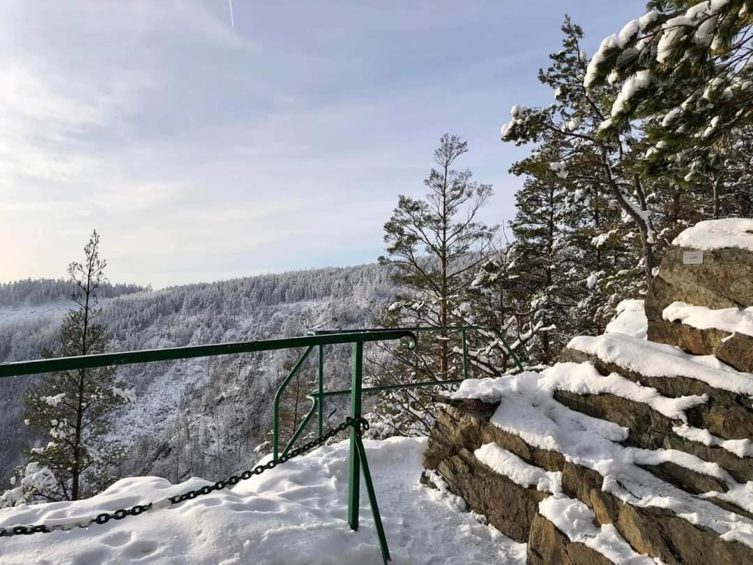 Bungalow Schwarzatalblick In Bad Blankenburg Ortsteil Boehlscheiben מראה חיצוני תמונה